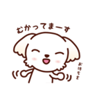 マルチーズ_たのしい日常（個別スタンプ：5）