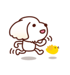 マルチーズ_たのしい日常（個別スタンプ：6）