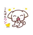 マルチーズ_たのしい日常（個別スタンプ：7）