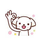 マルチーズ_たのしい日常（個別スタンプ：10）
