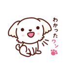マルチーズ_たのしい日常（個別スタンプ：11）