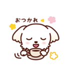 マルチーズ_たのしい日常（個別スタンプ：14）