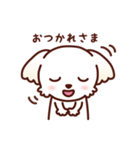 マルチーズ_たのしい日常（個別スタンプ：15）