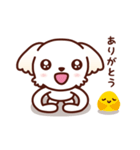 マルチーズ_たのしい日常（個別スタンプ：16）