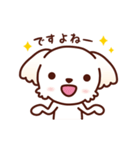 マルチーズ_たのしい日常（個別スタンプ：21）