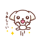 マルチーズ_たのしい日常（個別スタンプ：24）