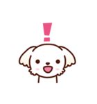 マルチーズ_たのしい日常（個別スタンプ：31）