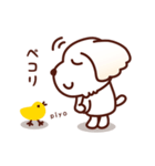 マルチーズ_たのしい日常（個別スタンプ：35）