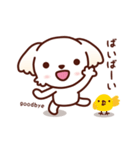 マルチーズ_たのしい日常（個別スタンプ：40）