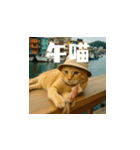 クスッと笑える小花達の会話(台湾華語）（個別スタンプ：2）