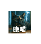 クスッと笑える小花達の会話(台湾華語）（個別スタンプ：3）