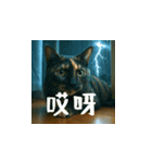 クスッと笑える小花達の会話(台湾華語）（個別スタンプ：13）