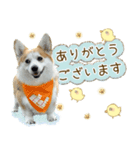 王子くん【あいさつ・敬語】（個別スタンプ：2）