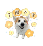 王子くん【あいさつ・敬語】（個別スタンプ：4）