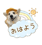 王子くん【あいさつ・敬語】（個別スタンプ：5）