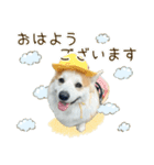 王子くん【あいさつ・敬語】（個別スタンプ：6）