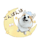 王子くん【あいさつ・敬語】（個別スタンプ：7）