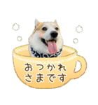 王子くん【あいさつ・敬語】（個別スタンプ：10）