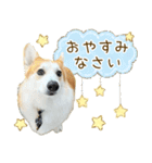 王子くん【あいさつ・敬語】（個別スタンプ：12）