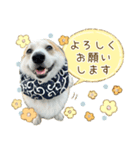 王子くん【あいさつ・敬語】（個別スタンプ：14）