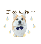 王子くん【あいさつ・敬語】（個別スタンプ：15）