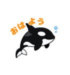 かわいいシャチの日常（個別スタンプ：1）
