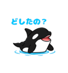 かわいいシャチの日常（個別スタンプ：4）