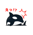 かわいいシャチの日常（個別スタンプ：5）