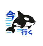かわいいシャチの日常（個別スタンプ：6）