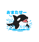 かわいいシャチの日常（個別スタンプ：7）