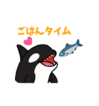 かわいいシャチの日常（個別スタンプ：10）