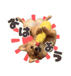 ポメコギ＊おあげのカジュアルスタンプ（個別スタンプ：6）