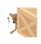 ポメコギ＊おあげのカジュアルスタンプ（個別スタンプ：18）