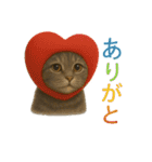 日常使い 猫がそばにいる2（個別スタンプ：3）