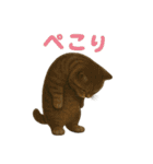 日常使い 猫がそばにいる2（個別スタンプ：6）