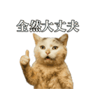 日常使い 猫がそばにいる2（個別スタンプ：14）