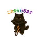 日常使い 猫がそばにいる2（個別スタンプ：20）