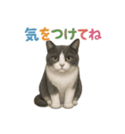 日常使い 猫がそばにいる2（個別スタンプ：22）