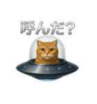 日常使い 猫がそばにいる2（個別スタンプ：26）