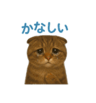 日常使い 猫がそばにいる2（個別スタンプ：29）