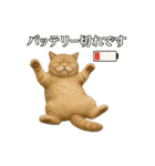 日常使い 猫がそばにいる2（個別スタンプ：30）