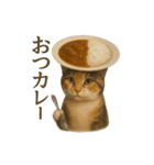 日常使い 猫がそばにいる2（個別スタンプ：32）