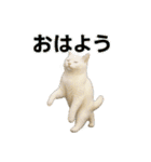日常使い 猫がそばにいる2（個別スタンプ：38）