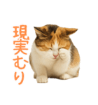 猫の本音｜意外と使えるネガティブ（個別スタンプ：1）