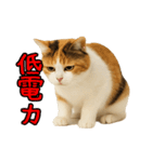 猫の本音｜意外と使えるネガティブ（個別スタンプ：5）