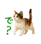 猫の本音｜意外と使えるネガティブ（個別スタンプ：11）