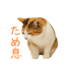 猫の本音｜意外と使えるネガティブ（個別スタンプ：40）