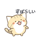 スナネコの日常色々（個別スタンプ：12）