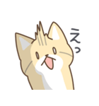 スナネコの日常色々（個別スタンプ：19）