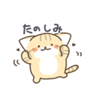 スナネコの日常色々（個別スタンプ：29）